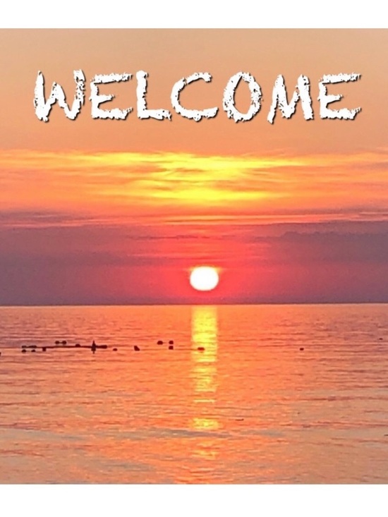 Other - Welcome to random_sequence Boutique & Resale
